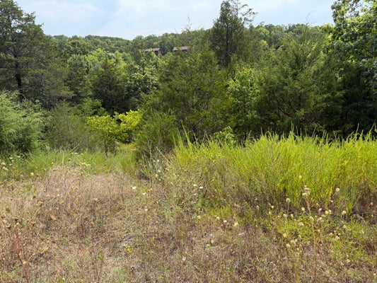 224 BLUE LAKE TRL, REEDS SPRING, MO 65737 - Image 6a9947d0970ad7ecb80cb968f68c4c3a/2659675637