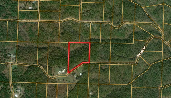 GOLDEN DR, RAYMONDVILLE, MO 65555 - Image 6ad2acfa15112e9ebcb6354c06837537/4258166955