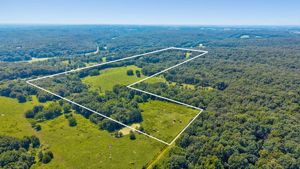 174 MT VERNON BLVD, MOUNT VERNON, MO 65712 - Image 6b813ee13f64acbc077b48688f9fae70/2590759617