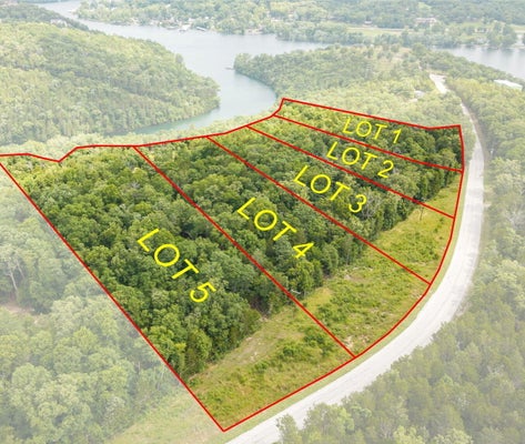 1701 RUSTIC ACRES RD, KIRBYVILLE, MO 65679 - Image 6b8a01edcd43ea71abf874292dac615e/3187684009