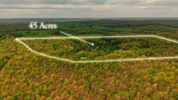 493 COUNTY ROAD 151, ALTON, MO 65606 - Image 6c6eaeddb9787b966caa58680e19ccc8/3313979531