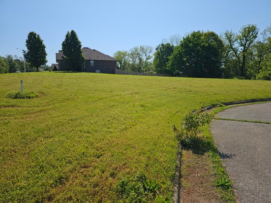 LOT 11 FOX HAVEN DRIVE, MT VERNON, MO 65712 - Image 6dc7eb3c24576ad00d8d04f8b5e9956c/1715783334