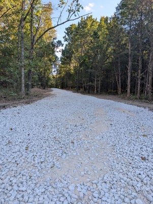 20 CREEK BLUFF DR LOT 3, STRAFFORD, MO 65757 - Image 6e1c6ff95aa35a0fedc56de860219982/3336630625