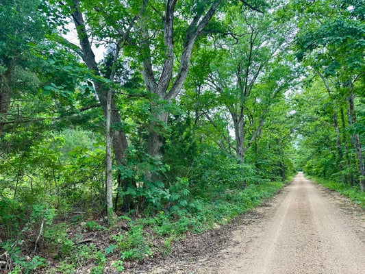10 CARTER RTE, ELLSINORE, MO 63937 - Image 6ea1f0b5c5586d6a9901713ffdf2901e/1858798383