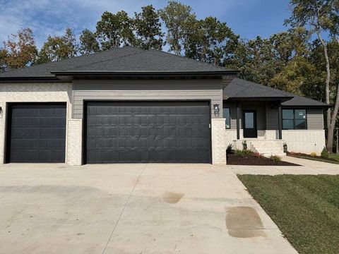 Photo of 5555 E Wild Horse Drive, Springfield, MO 65802 (MLS # 60311609)