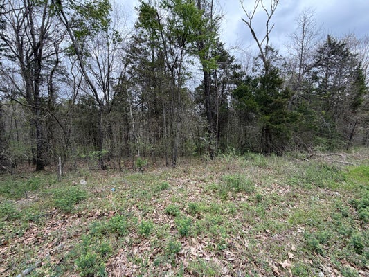1 HOLIDAY HILLS DR, CAPE FAIR, MO 65624 - Image 7124cf1252f7c7b7416489e0bdf5e88f/3839213064