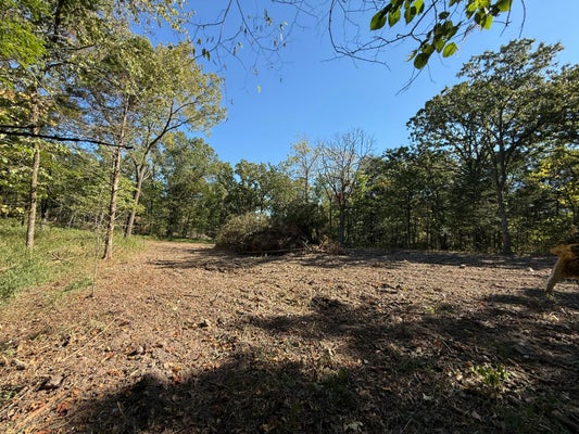 ADDRESS PRIVATE, WHEATLAND, MO 65779 - Image 723c262a475ff7dea573f35c234bcb38/1514869785
