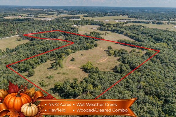 57 WHITE CLOVER RD, STRAFFORD, MO 65757 - Image 739dec7cf21e77e5344ad0afb67e7fbf/1802289166