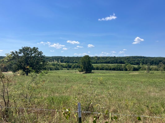 130 COUNTY RD 7040, CAULFIELD, MO 65626 - Image 73f0432ee77d821dc6b3d8942c4e9d22/2947020230