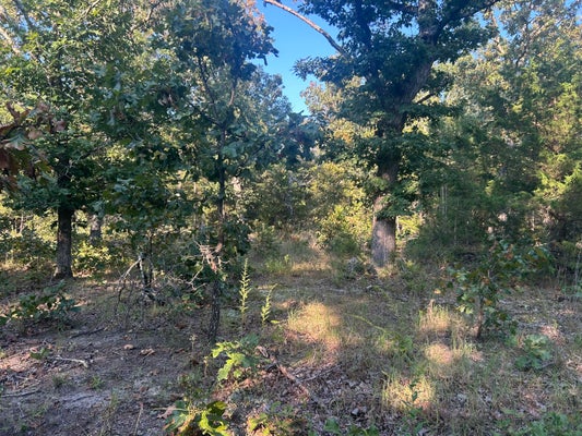 32 COUNTY RD 2340, SALEM, MO 65560 - Image 73faccc282f3d06448427e38efed7d8b/3133536726