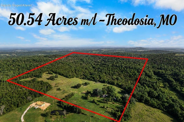 550 COUNTY ROAD 900, THEODOSIA, MO 65761 - Image 74d2b84c672ea82db749892e9d277688/2230141094