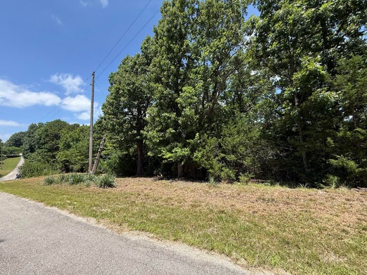 14 MOUNTAIN ESTATE DR, BLUE EYE, MO 65611 - Image 74f8ad07ba4b52b26aed7efde940d790/1503340350