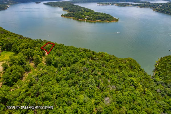 233 CLIFFSIDE DR, GALENA, MO 65656 - Image 761d50b82b5280e0ec7ca436003425f9/1597272609