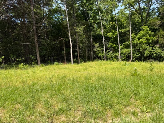 65 COUNTY RD 318, TECUMSEH, MO 65760 - Image 76a573a4a8dca04f0ac5bd5a3fce7138/1948132013
