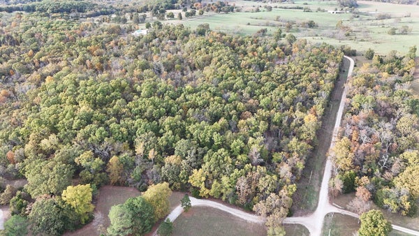 SE 451ST RD, COLLINS, MO 64738 - Image 76efd0b5dda49769f384b9364b76b314/1071276708