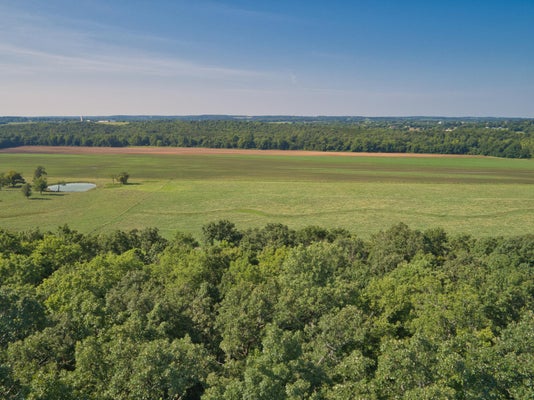 E 517TH RD, HALF WAY, MO 65663 - Image 790f24328bc6a63fbedd6f2eb0c912a9/2583364072