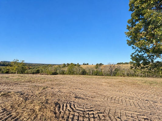 000 W LOWERY ROAD, LEAD HILL, AR 72644 - Image 79b536e080716b3a559e7fda44adb68d/2157923203