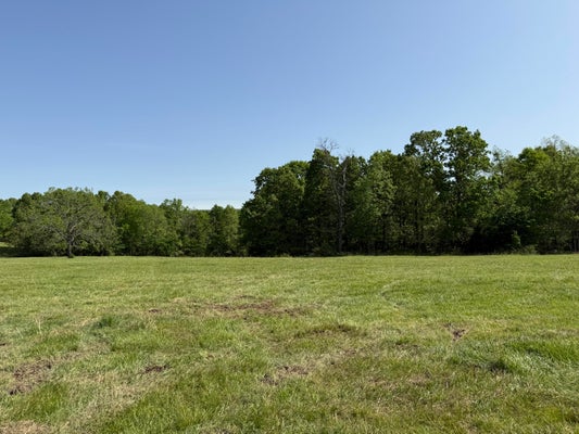 HIGHWAY M, CABOOL, MO 65689 - Image 79be3f2ddf81b9d80064ddbd050dde9a/668070006