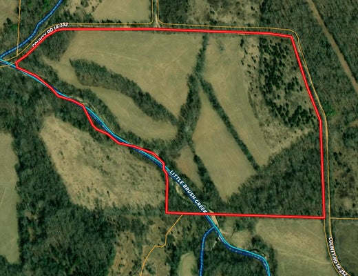 COUNTY RD 252, DRURY, MO 65638 - Image 7a0a6f06d975c97ae6be52ac40369d13/2491692311
