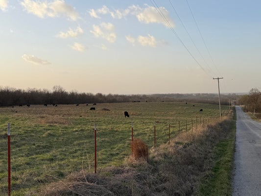 TRACT 3 DADE 142, SOUTH GREENFIELD, MO 65752 - Image 7ba49b136e99b52521a34027a722eb21/1243061165