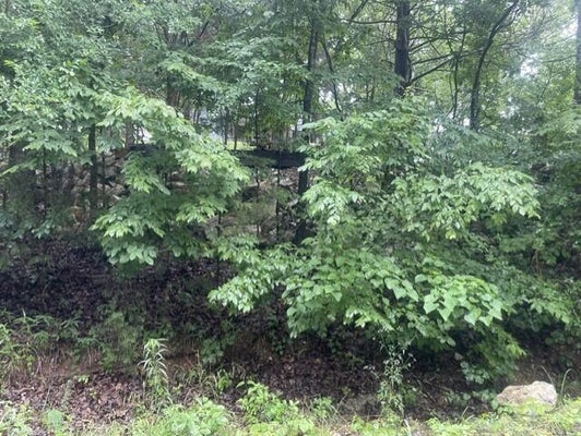 13 SUN PERCH LN, KIMBERLING CITY, MO 65686 - Image 7bd540f512bb42be3be4437f3f27bfe5/3193280541