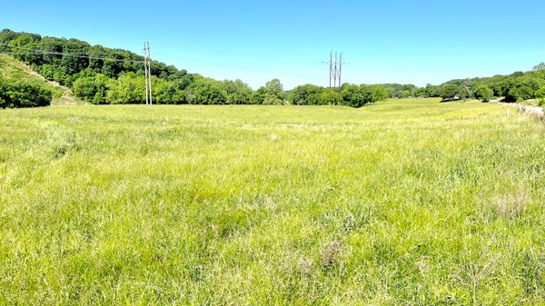 354 THIEF HOLLOW RD, ANDERSON, MO 64831 - Image 7beb0f09ecbb3f071ef64b92835e74ce/3598183855