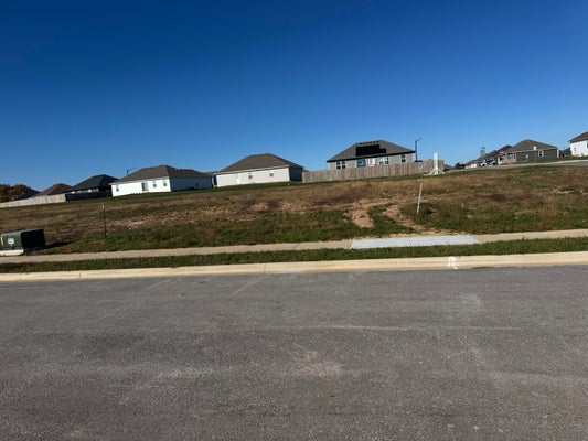 1251 E CHARLTON ST, REPUBLIC, MO 65738 - Image 7ce06d9256e3baffbbecd0c0a636070c/1668801476