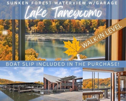 150 SUNKEN FOREST DR BLDG 4-157, FORSYTH, MO 65653 - Image 7ced3ddffa1c004aae9b4479587a944e/1427758094