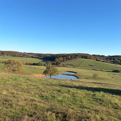 ADDRESS PRIVATE, DRURY, MO 65638 - Image 7cefb294fc5ec0f07c0b14f8ffb70a95/2731072825