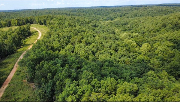632 PRIVATE ROAD 421-35, WEST PLAINS, MO 65775 - Image 7dc8e165a2cf8e1fdb00e8740c2f0fc4/3417226241