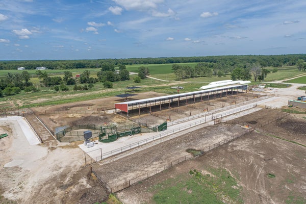 2119 TALL GRASS RD, FORDLAND, MO 65652 - Image 7ed5dfe4f271776983813ea40a35dda0/3636536155
