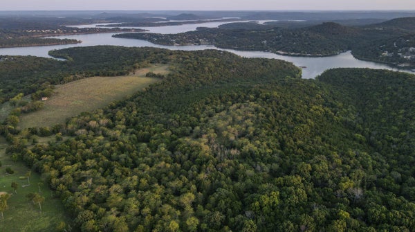 5 QUIET ACRES RD, LAMPE, MO 65681 - Image 7edeb814940eb23e76c3b2e2046f1002/3370923942