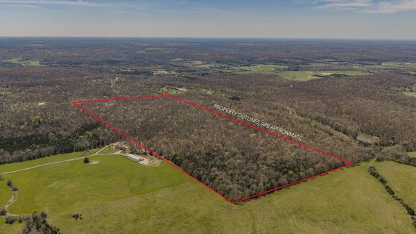 E FARM RD 10, FAIR GROVE, MO 65648 - Image 7fea200cc8020fa0e468b0a9b70140ca/1204929148