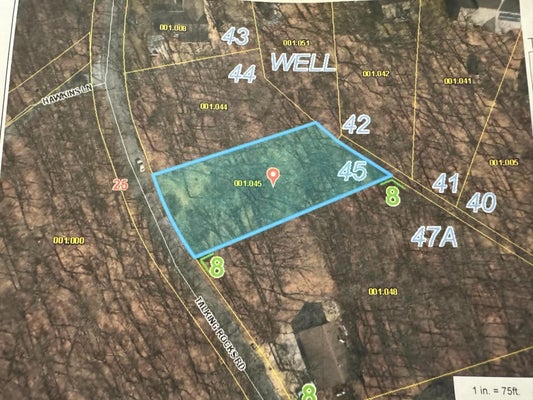 1452 TALKING ROCKS RD LOT 45, REEDS SPRING, MO 65737 - Image 819acbd3df4f5a5436d3d94127b573e0/2695644587