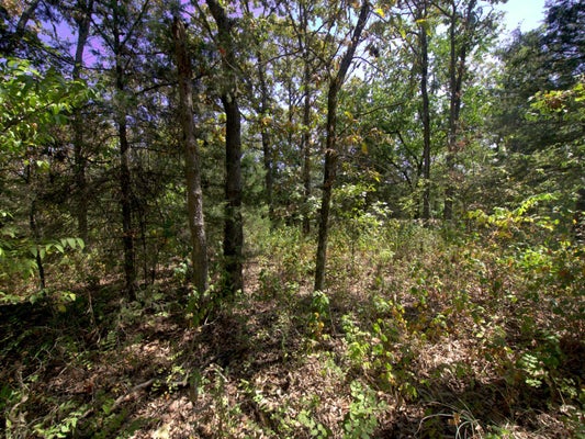 SIMPSON RD, URBANA, MO 65767 - Image 82dd63a297eeb64a2b05f839ff0c25b8/606036265