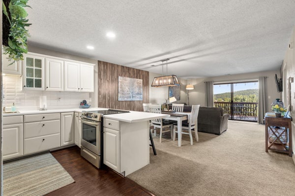 161 AVONDALE DR APT 5, BRANSON, MO 65616 - Image 82fafbf9b7aecfb9771a0711676b336e/2464753676