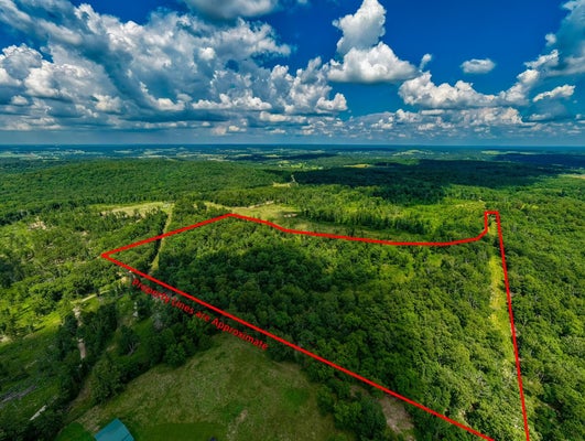 BERRY RD, CABOOL, MO 65689 - Image 830b1a560d7f79d799d8c5bb9ce352ff/3004446891