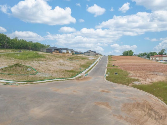 802 S BILL HANKS LN, OZARK, MO 65721 - Image 832b0fe1a5eb6b7ae3ef026fae6201a1/600561775