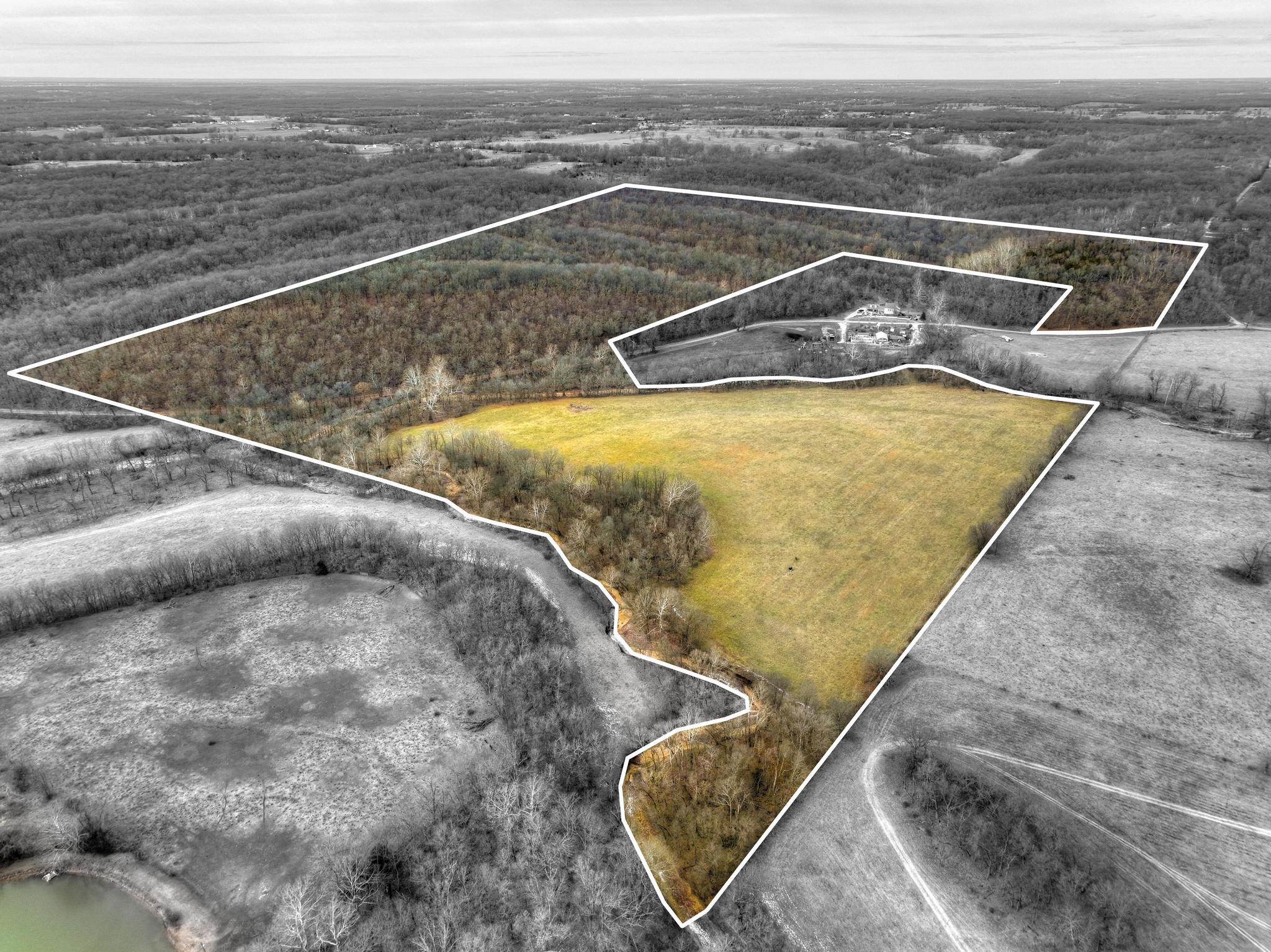 Seclusion and accessibility!  Rare opportunity to acquire timbered hills with scenic bluffs AND bottom land on Buffalo Creek only minutes from Walmart.  Build on bluffs with phenomenal overlook view or along creek (only part of bottom land is in flood plain).  Restrictions will apply.
