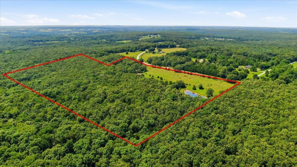 184 STATE HWY E, FAIR GROVE, MO 65648 - Image 83fac23f6681179b1563c6dcdfe18a93/1712643741