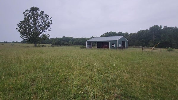 11005 OAK TREE DR, MOUNTAIN GROVE, MO 65711 - Image 8894ba7b2542da1ae9dde8983cc0bd9e/905415392