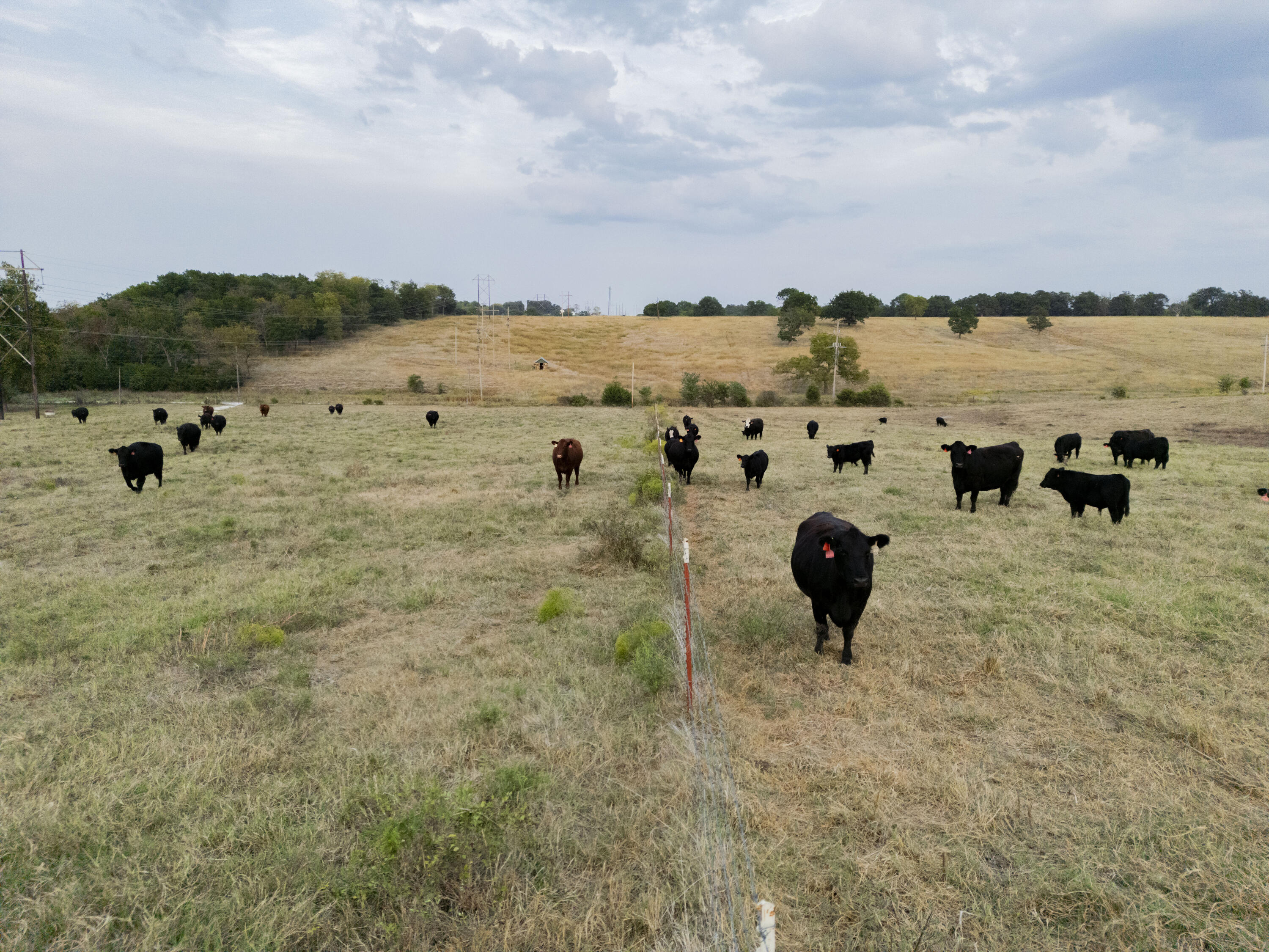 N/A - Farm