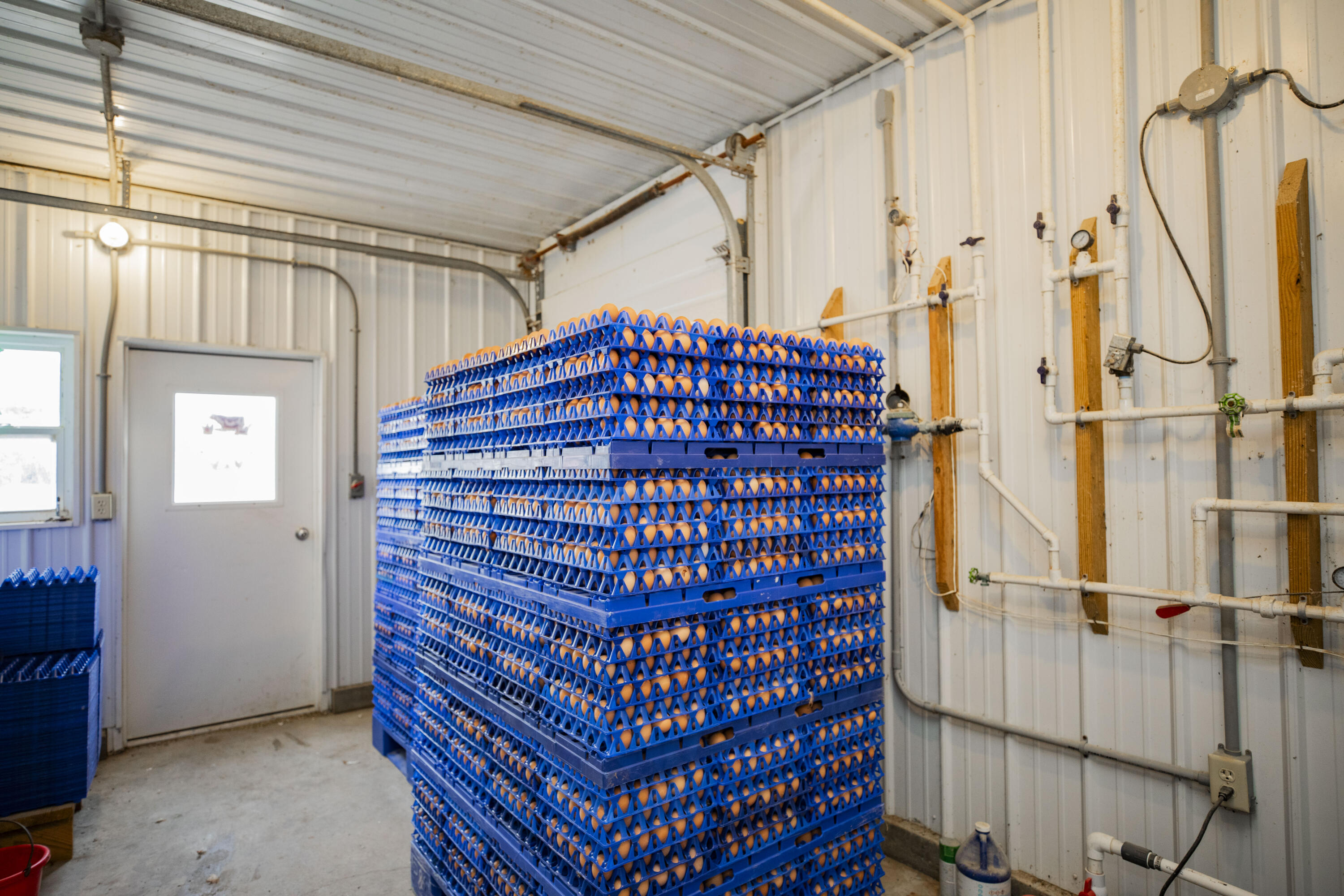 N/A - Farm