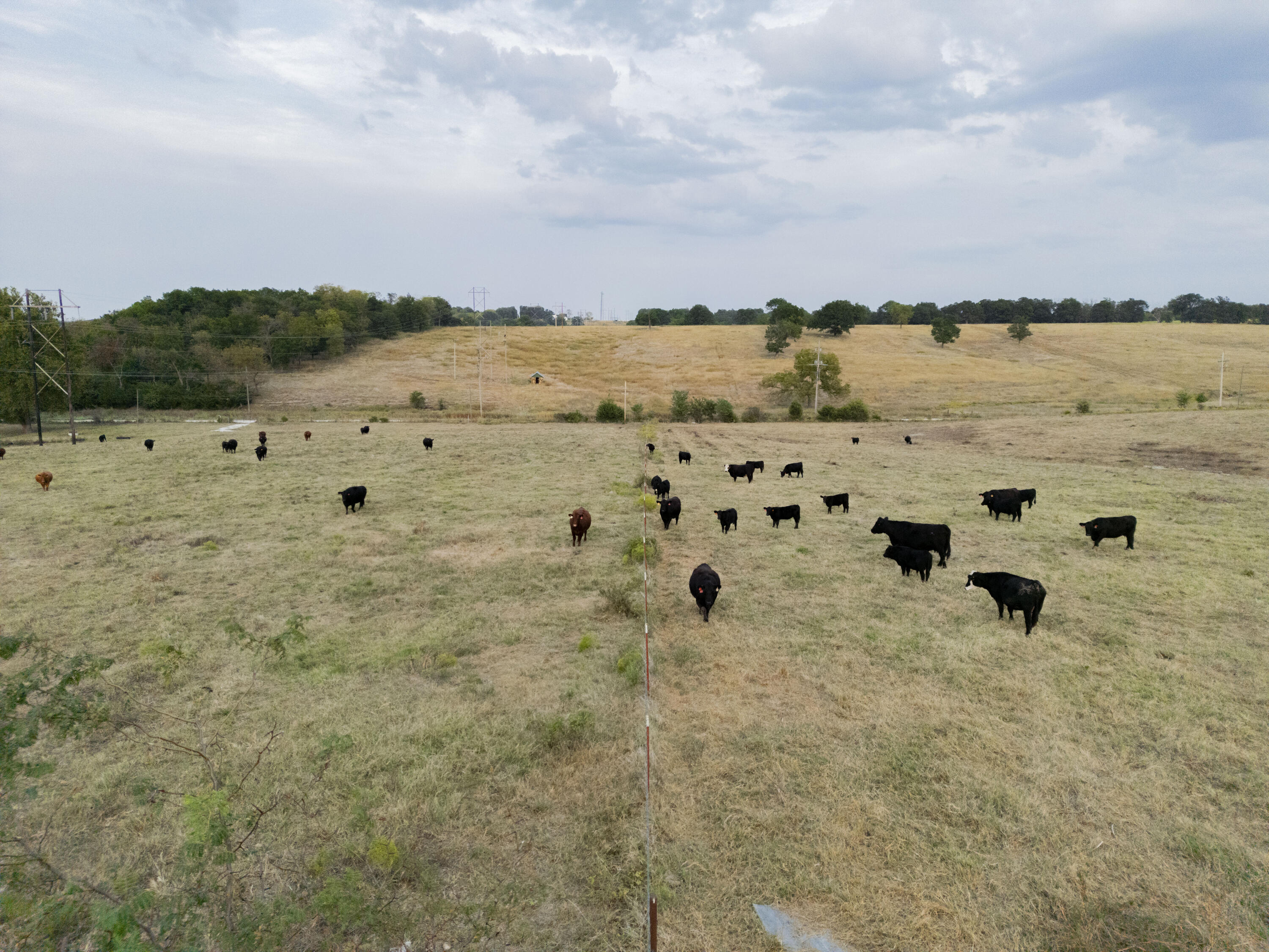 N/A - Farm
