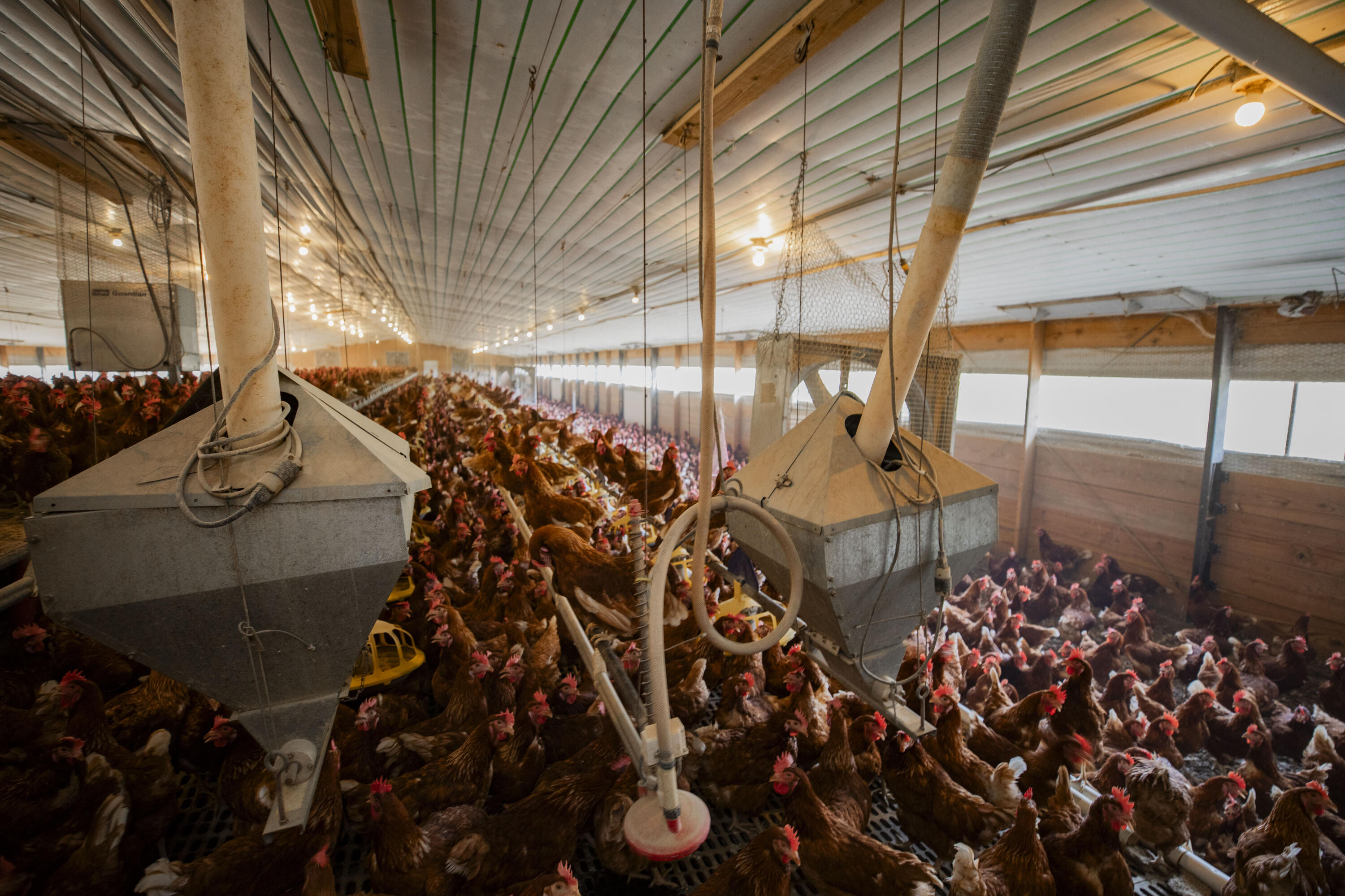 N/A - Farm