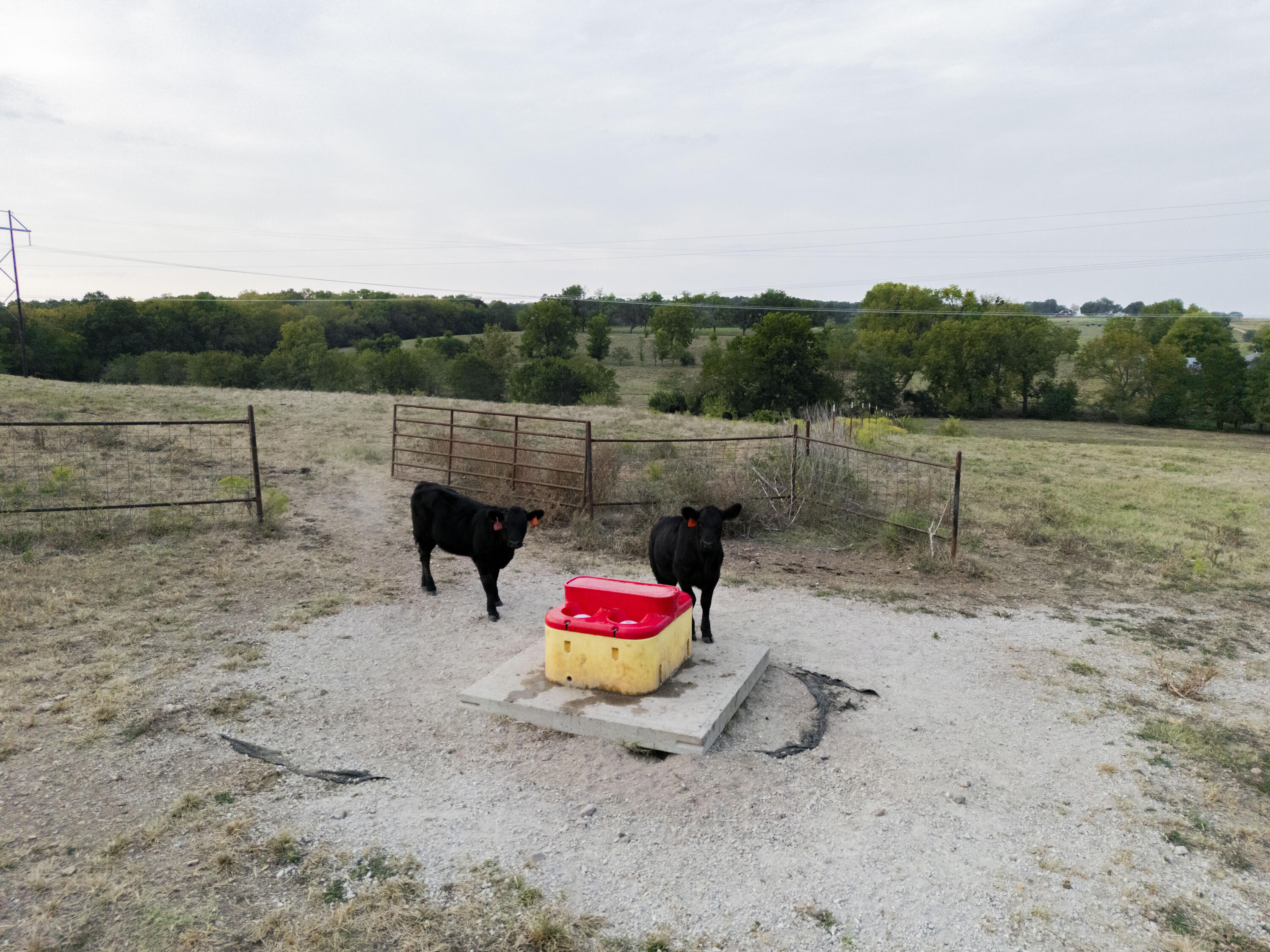 N/A - Farm