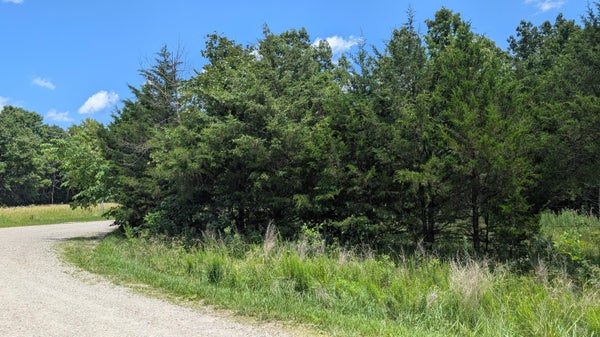 000 GARDNER HILL LANE, FORDLAND, MO 65652 - Image 8a01d01444da87a384f0a3ce5d61f19f/295414407