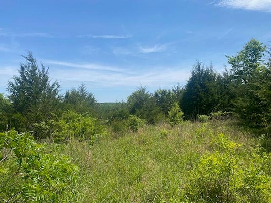200 FLINT HOLLOW RD, SEYMOUR, MO 65746 - Image 8a01d4cf572928f287685d4fa7abf9e0/4112551472