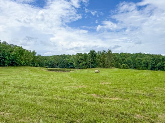 5748 COUNTY ROAD 3850, PEACE VALLEY, MO 65788 - Image 8a74cdefbaf7d62fed26d0e98fc02c7e/1134359260
