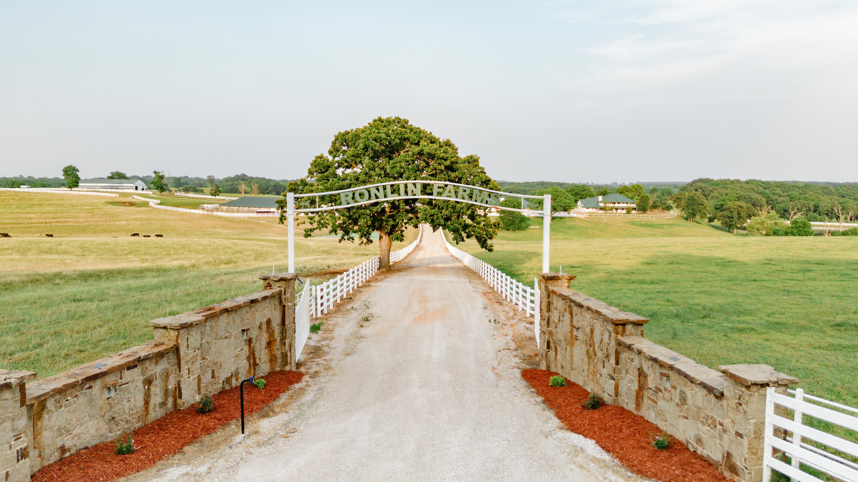 352 State Highway 245